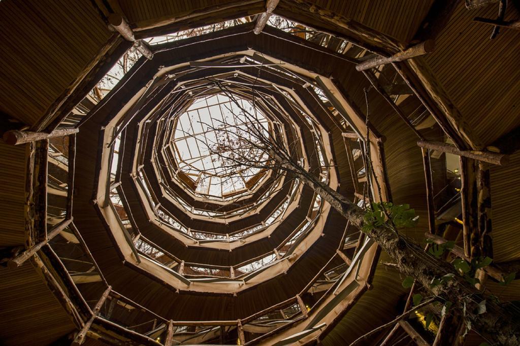Huilo Huilo Nothofagus Hotel & Spa Puerto Fuy Kültér fotó