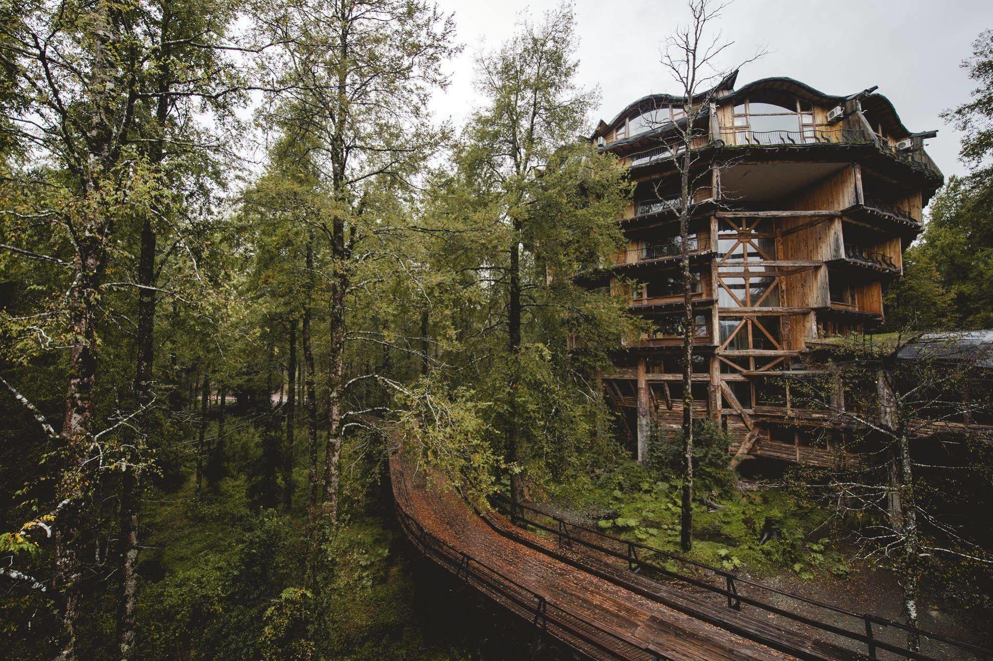 Huilo Huilo Nothofagus Hotel & Spa Puerto Fuy Kültér fotó