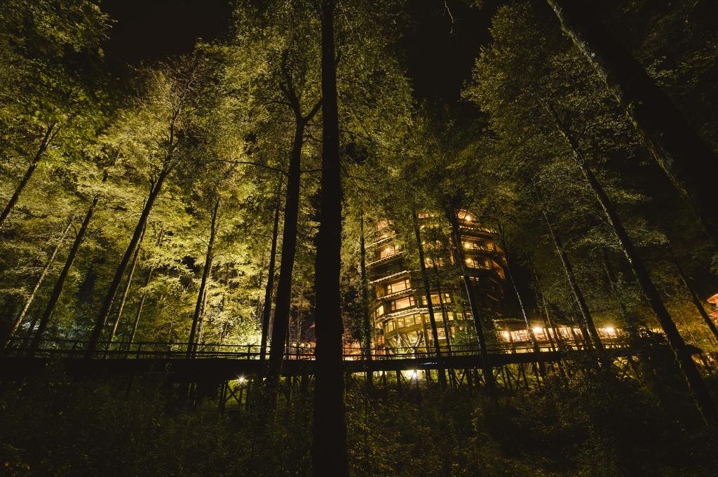 Huilo Huilo Nothofagus Hotel & Spa Puerto Fuy Kültér fotó